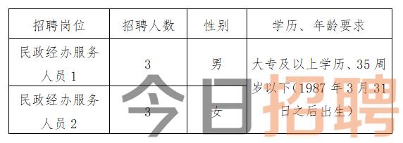 马关县发展和改革局最新招聘概览